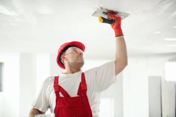 Best Drywall Texturing  in Tyrone, GA