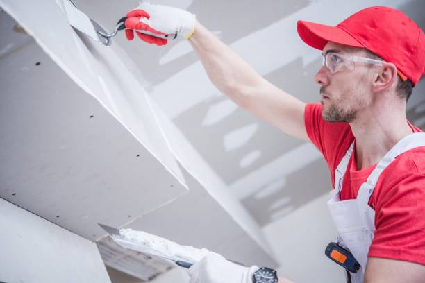 Best Ceiling Drywall Installation  in Tyrone, GA